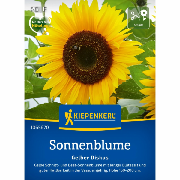 Kiepenkerl Slunečnice "Žlutý disk" Helianthus