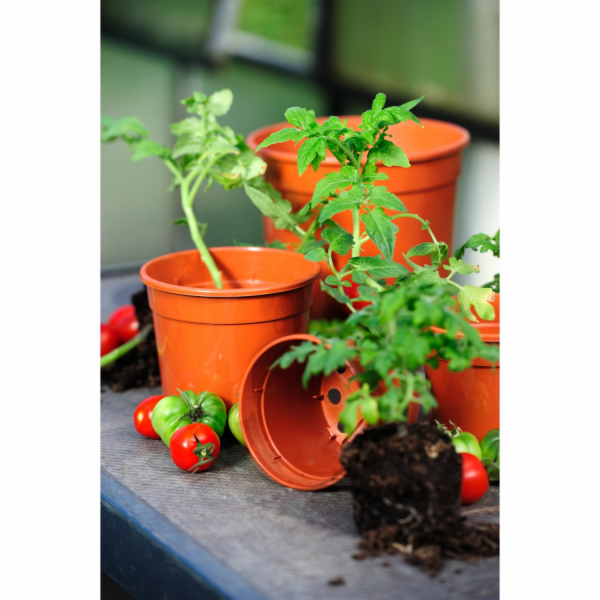 Florus Květináč na sazenice , průměr 21 cm, terakotový