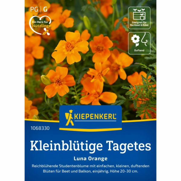 Kiepenkerl Měsíček lékařský "Luna Orange" oranžový