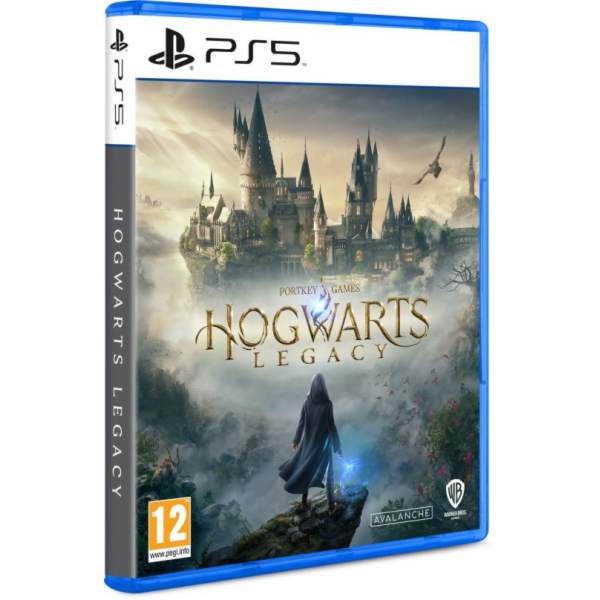HRA PS5 Hogwarts Legacy