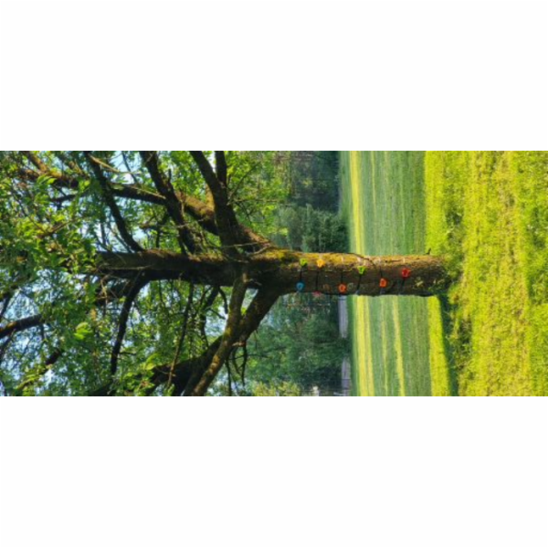 2Kids Toys Lezecké úchyty s popruhy na strom 12 ks