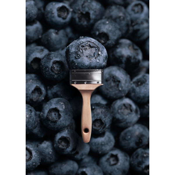 Schöner Wohnen Trend barva Blueberry matt 2,5l