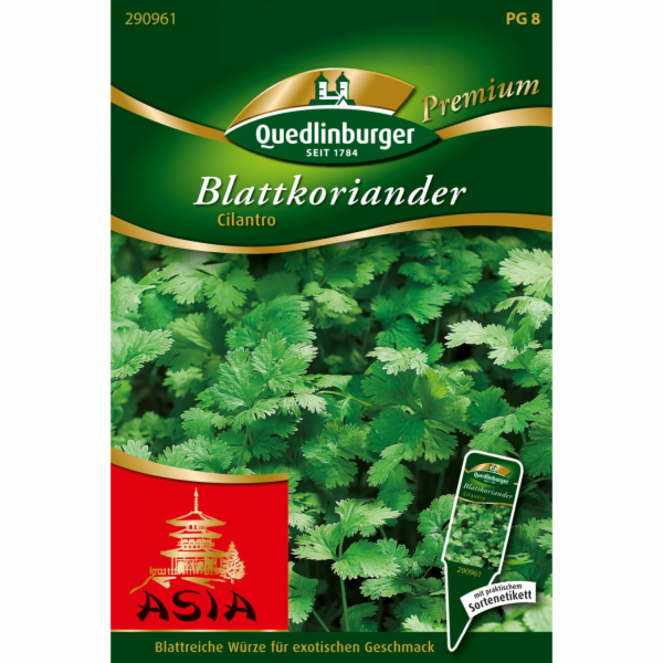 Quedlinburský koriandr "Cilantro" - volná semínka