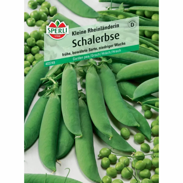 Sperli Hrách setý "Malé Porýní" (Pisum sativum)