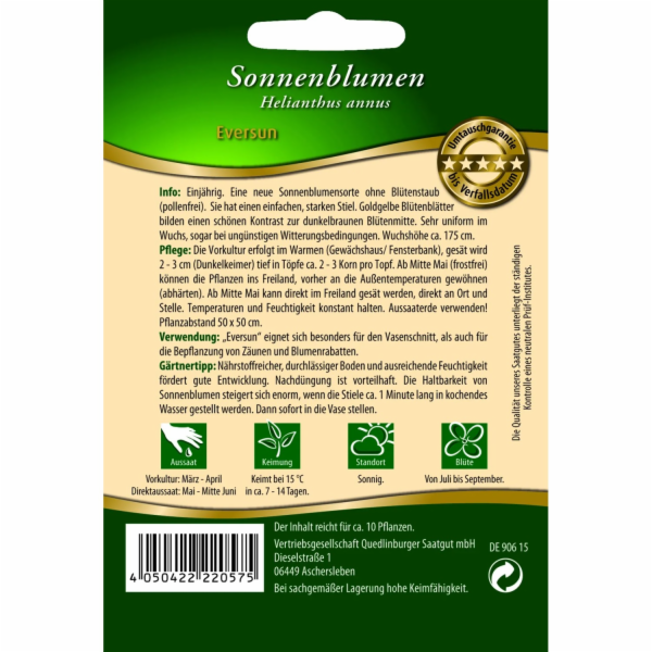 Quedlinburská slunečnice   Eversun  