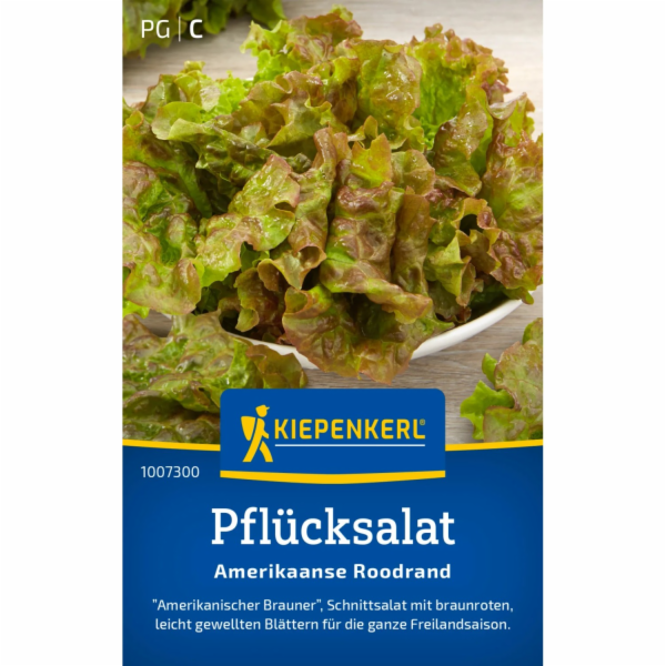 Kiepenkerl řezaný salát „Americký Roodrand“