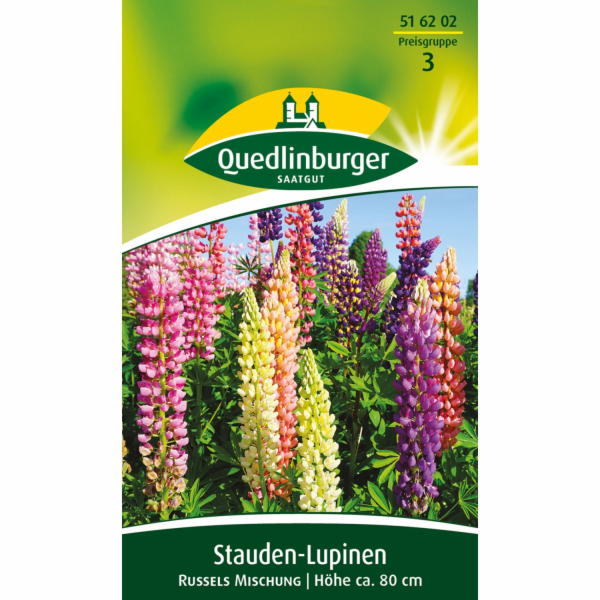 Quedlinburský trvalý lupin  Russell s Mix 