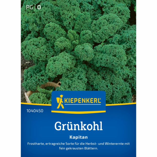 Kiepenkerl Kale "Kapitan" F1 Hybrid