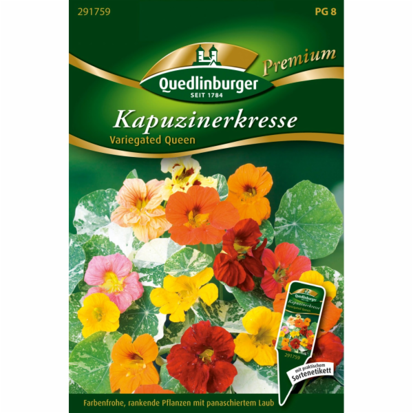 Lichořeřišnice quedlinburská  Variegated Queen 