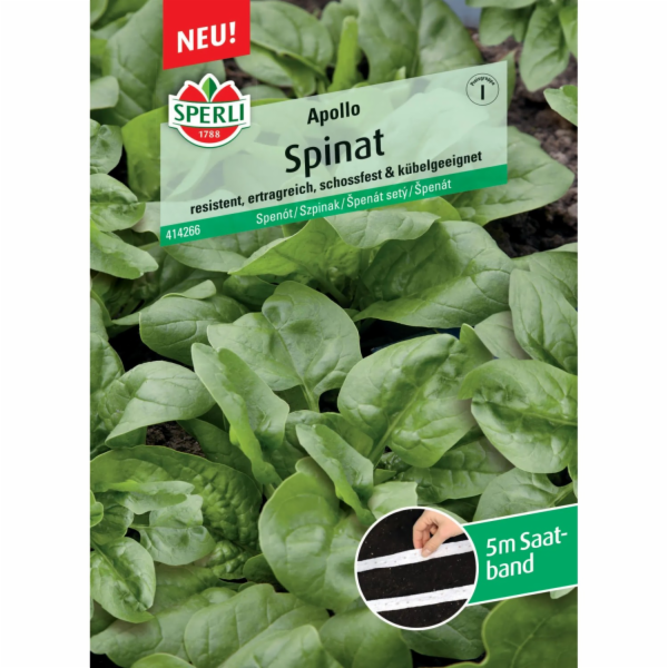 Hybridní semenná páska Sperli Spinach "Apollo" F1