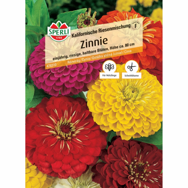 Sperli Zinnia "California Giant Mix" Zinnia