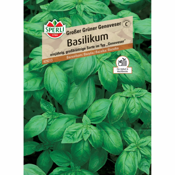 Bazalka Sperli "Velká zelená"