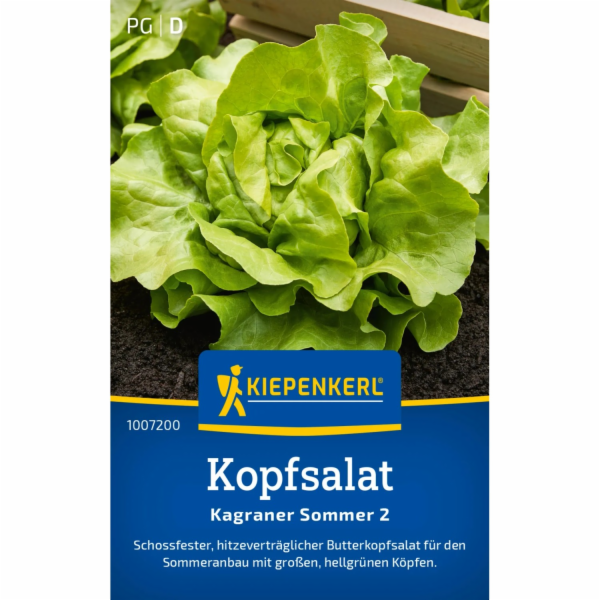 Semínka salátu Kiepenkerl Kagraner Summer 2