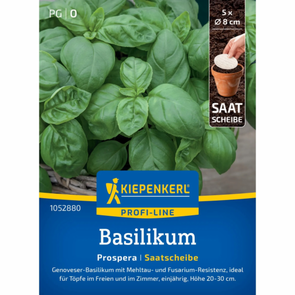 Kiepenkerl Hybrid Basil Prospera F1 semenný kotouč