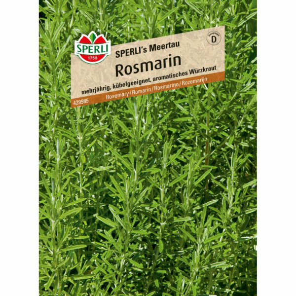 Sperli Rosemary "Sperlis Meertau"