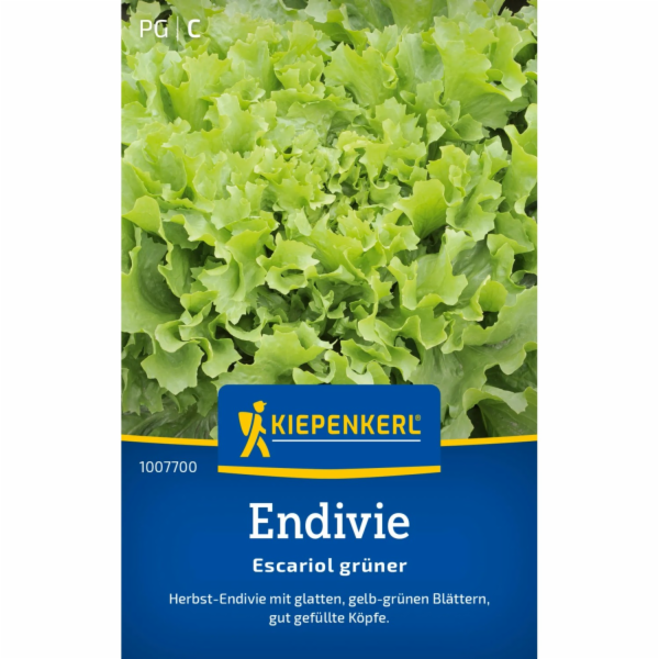 Kiepenkerl Endivie "Escario green"