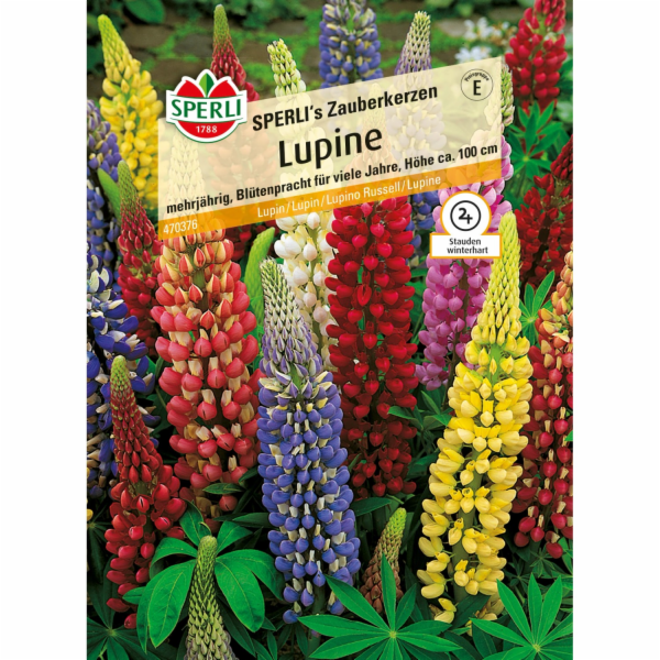 Sperli Lupin "Sperliho kouzelné svíčky" vícebarevné