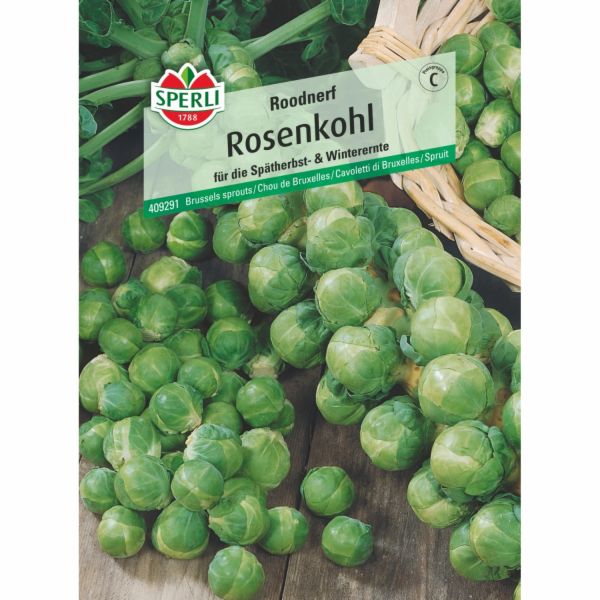 Sperli růžičková kapusta "Roodnerf"