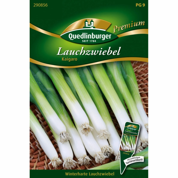 Quedlinburská pórková cibule   Kaigaro  