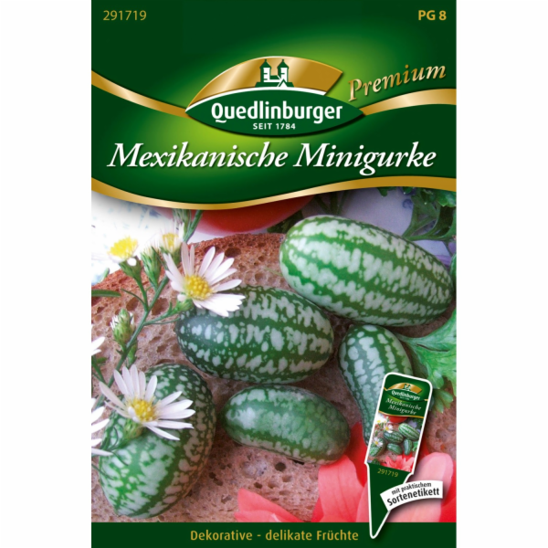 Quedlinburgská mexická mini okurka