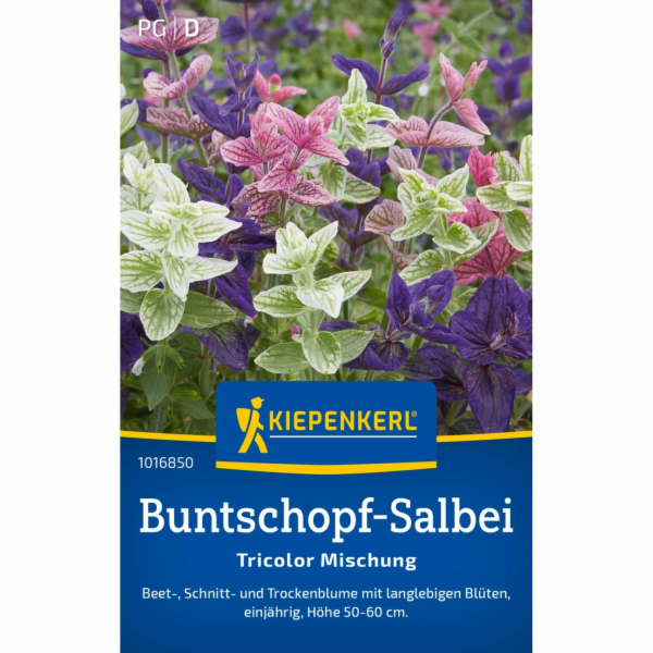 Kiepenkerl Šalvěj pestrá "Tricolor Mix" Salvia