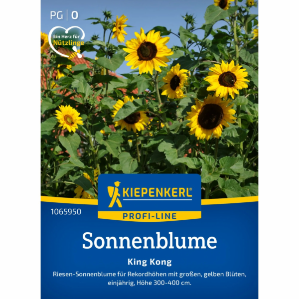 Kiepenkerl slunečnice "King Kong" Helianthus annuus