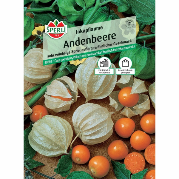 Sperli andské bobule "Inca švestka" (Physalis peruviana)