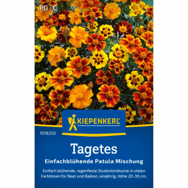 Kiepenkerl Tagetes "Patula Mix" Tagetes erecta