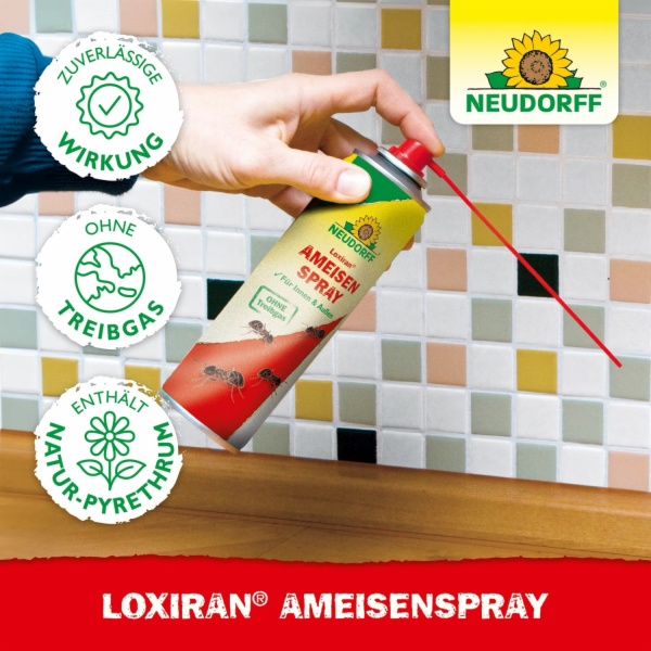 Neudorff Loxiran Ant Spray 400 ml