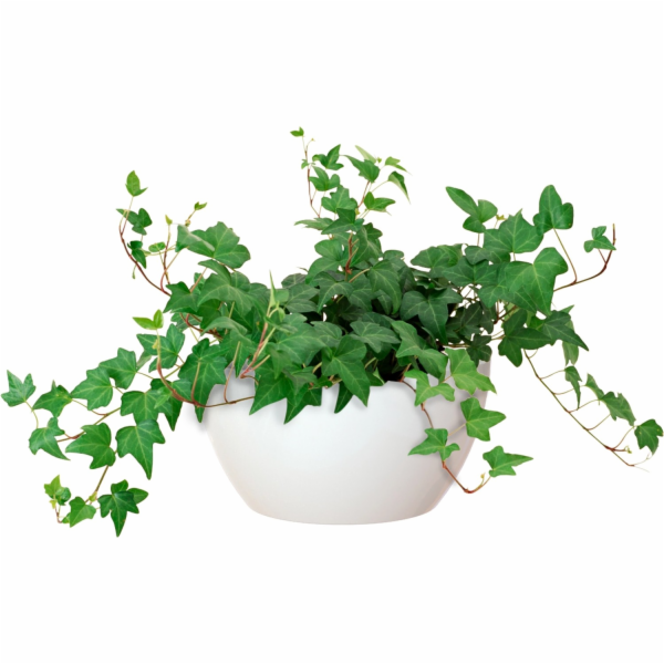 Miska Artevasi San Remo, průměr 23 cm, bílá