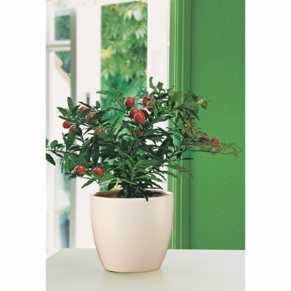 Sazeč Scheurich 920 O 14 cm krém