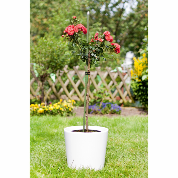 Kůl na rostlinu 240 cm x O 1,6 cm tmavě zelený