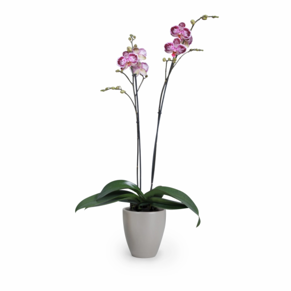 Sazeč Scheurich 620 O 13 cm Taupe