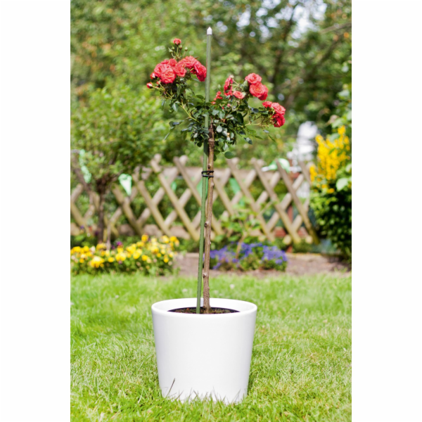 Kůl na rostlinu 150 cm x O 1,1 cm tmavě zelený