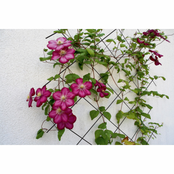 Kovová mříž 150 cm x 45 cm antracitová