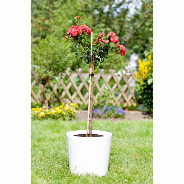 Bambusová tyč 120 cm, průměr cca 1 cm