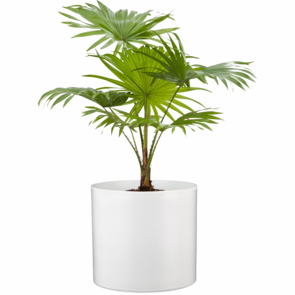 Sazeč Scheurich 828 O 23 cm Panna