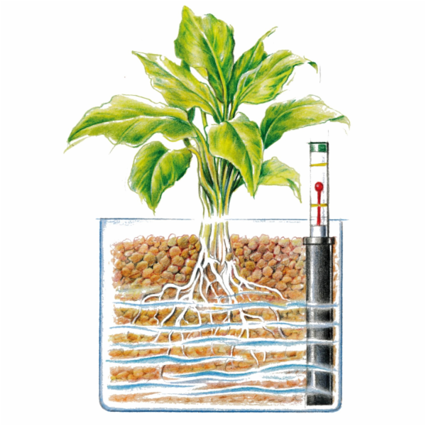 Westland clay granulát expandovaného jílu 5 l