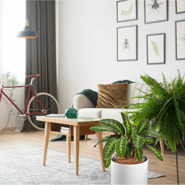 Westland clay granulát expandovaného jílu 25 l