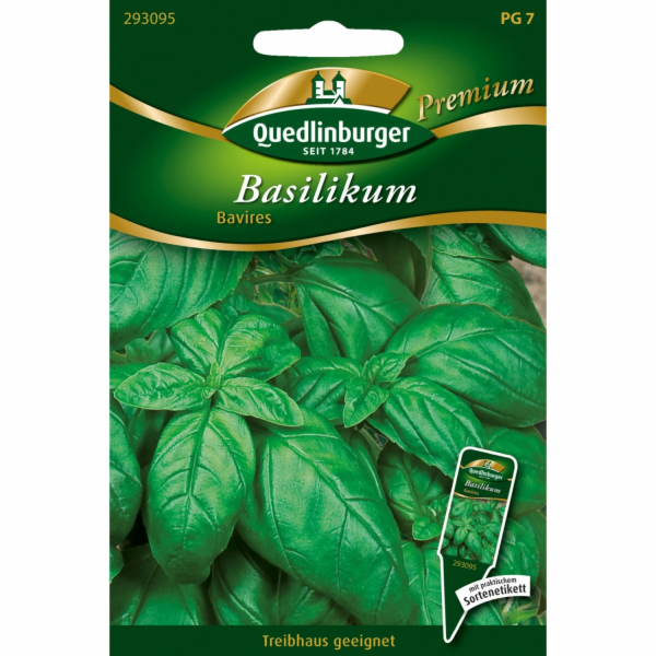 Bazalka Quedlinburgská "Bavires" sypká semínka