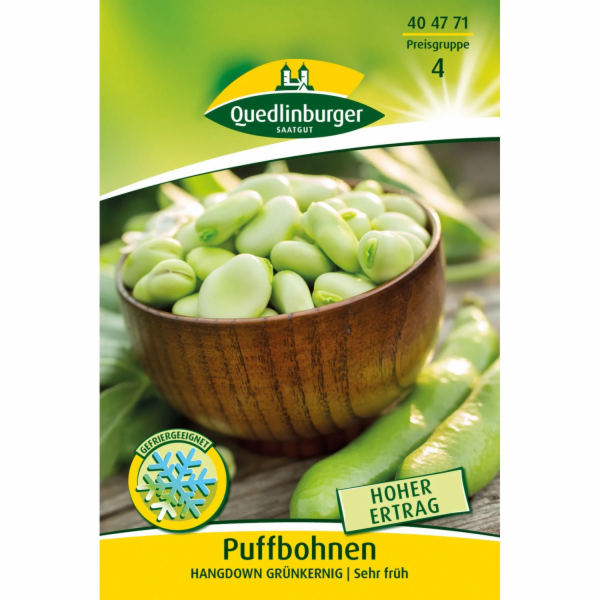 Quedlinburský bob obecný   Hangdown Green Kernel  