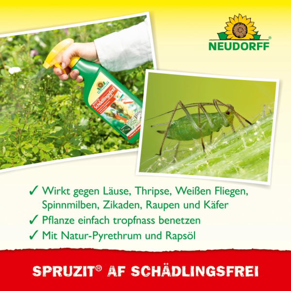 Neudorff Spruzit AF Bez škůdců 500 ml