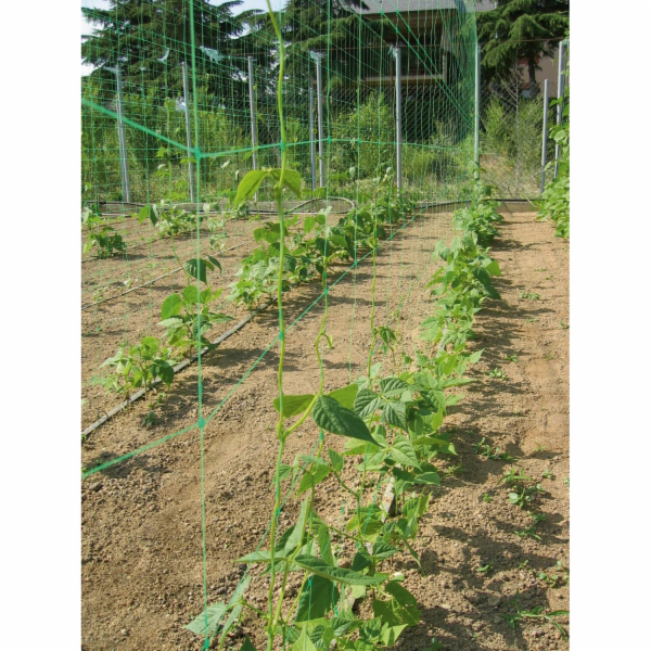 Mřížová síť 10 m x 2 m