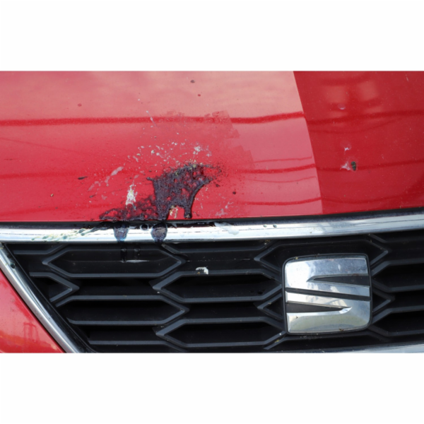 Nigrin Performance Insect Remover & Indicator 500 ml