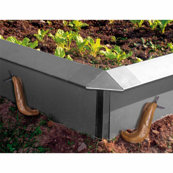 Plot proti šnekům Bellissa z ocelového plechu 20 cm x 100...