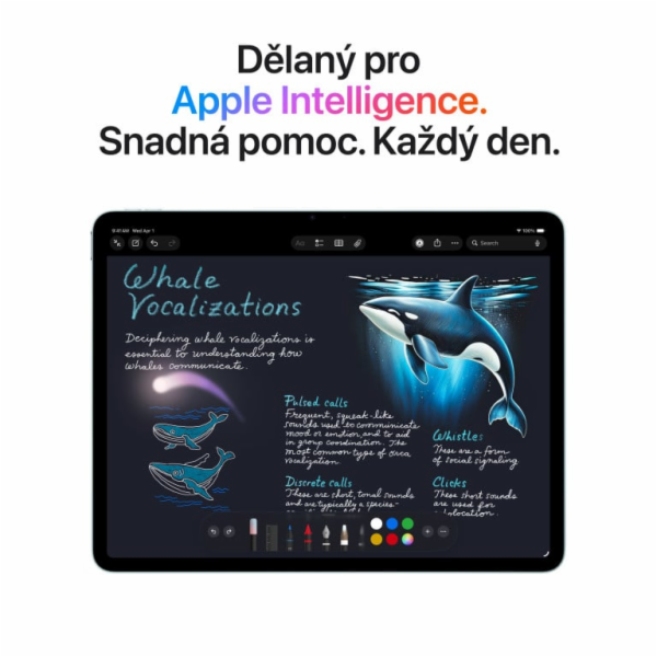 Apple iPad Air 13palcový Wi-Fi 256 GB vesmírně šedý