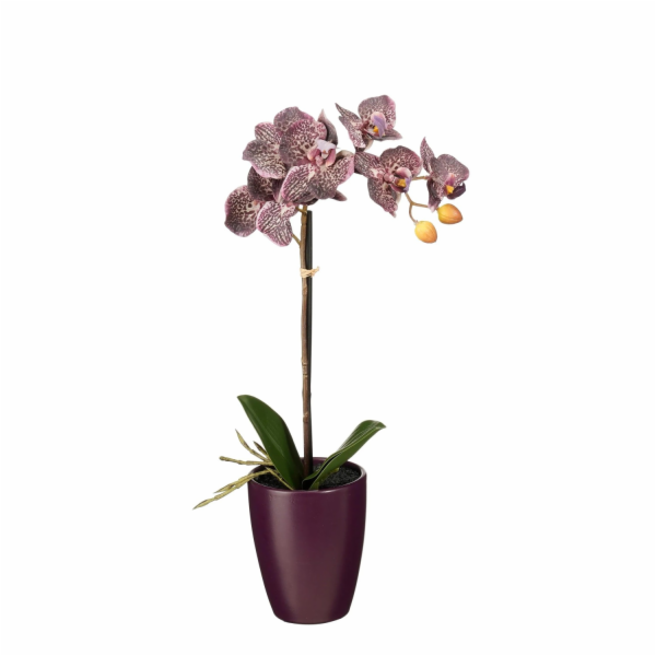 MICA Umělá slída Phalaenopsis v květináči 47 cm x O 18 cm...