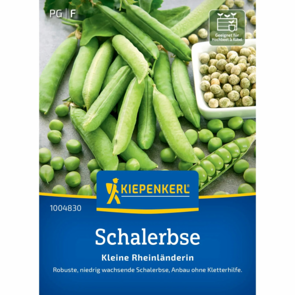 Kiepenkerl Schalerbse "Kleine Rheinländerin"