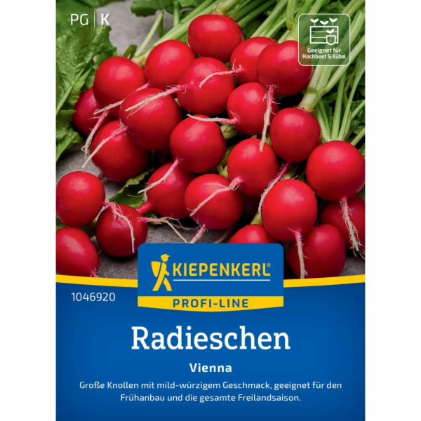 Kiepenkerl ředkvičky "Vienna" F1 hybrid (Raphanus sativus...