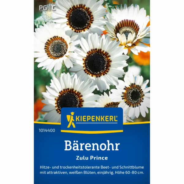 Kiepenkerl Nádherné medvědí ucho "Zuluský princ" krémově ...